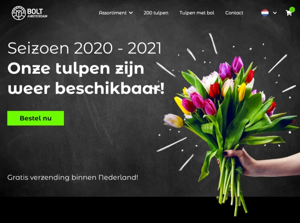 BOLT Amsterdam screenshot